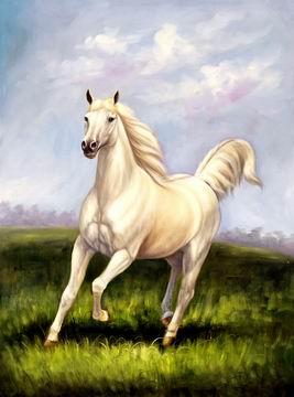 unknow artist Horses 021 China oil painting art